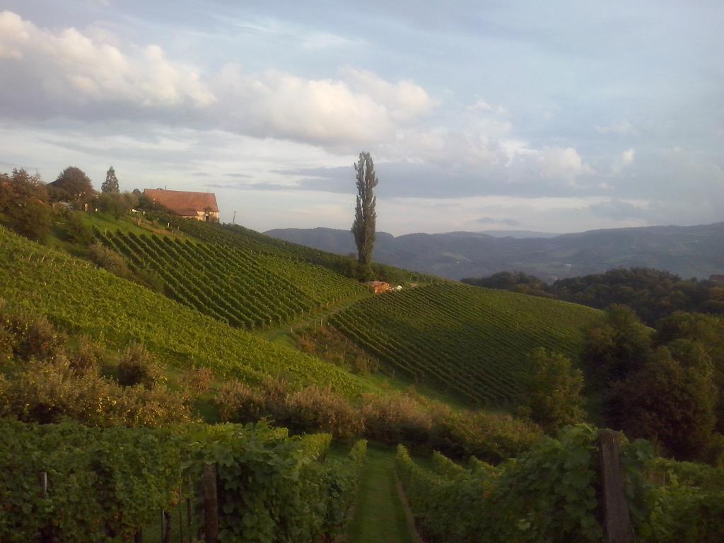 Weingarthaus Villa Gamlitz Buitenkant foto
